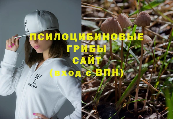 Альфа ПВП Верхний Тагил