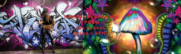 дурь Семилуки