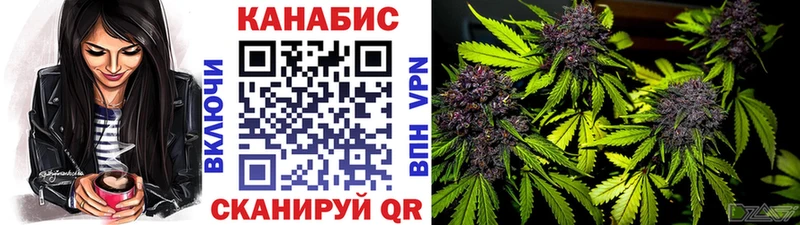Конопля White Widow  Отрадный 